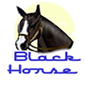 Black Horse
