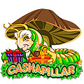 Cashapillar Cashapillar