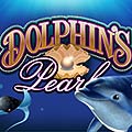 dolphins pearl