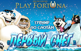 Турнир «Первый снег»