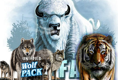 White Buffalo, Untamed Wolf Pack и Untamed Bengal Tiger