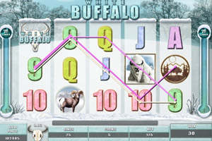 white-buffalo