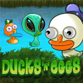 Ducks n Eggs