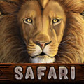 safari