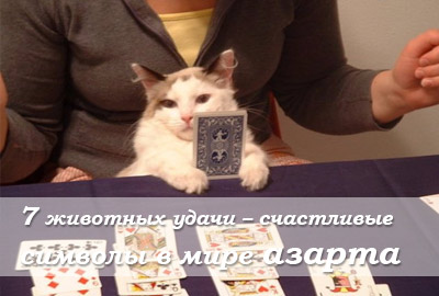 Животные удачи