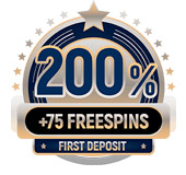 rox casino rox casino