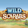 Wild Scarabs