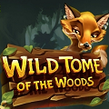 Онлайн слот Wild Tome of the Woods Онлайн слот Wild Tome of the Woods